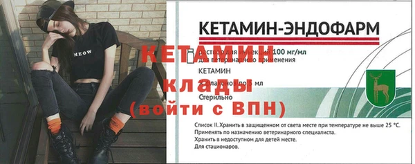 индика Ладушкин