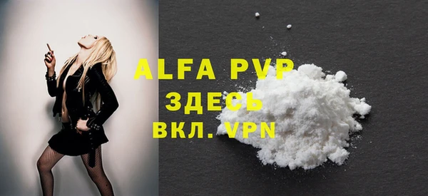 индика Ладушкин