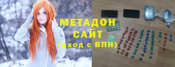индика Ладушкин