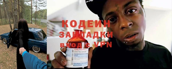 индика Ладушкин