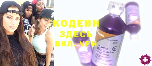 индика Ладушкин
