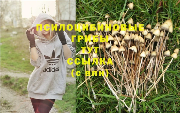 мдма Лабытнанги