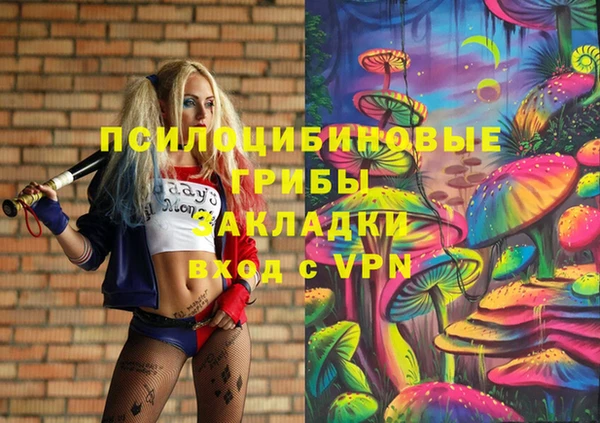 индика Ладушкин