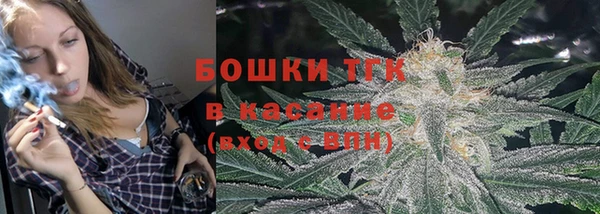 шишки Лиски