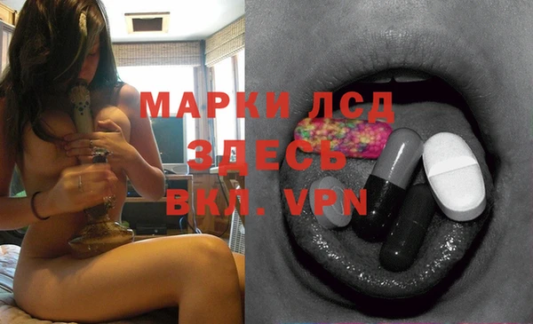 индика Ладушкин