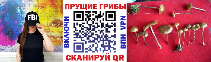 Галлюциногенные грибы Magic Shrooms hydra как войти Усть-Илимск